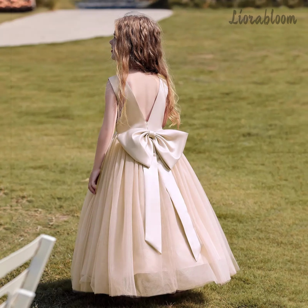 فستان أميرة متعدد الألوان بدون - مراجعة Formal Women'S Wear وسعره